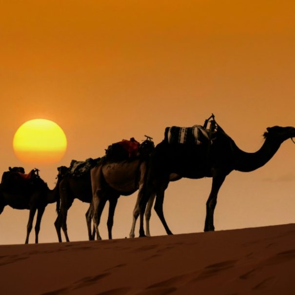 Fes to Marrakech: tour of 3 days via Merzouga