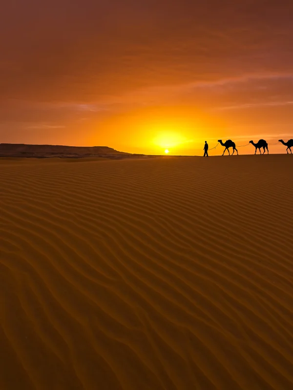 3-Day Morocco Tour from Marrakech