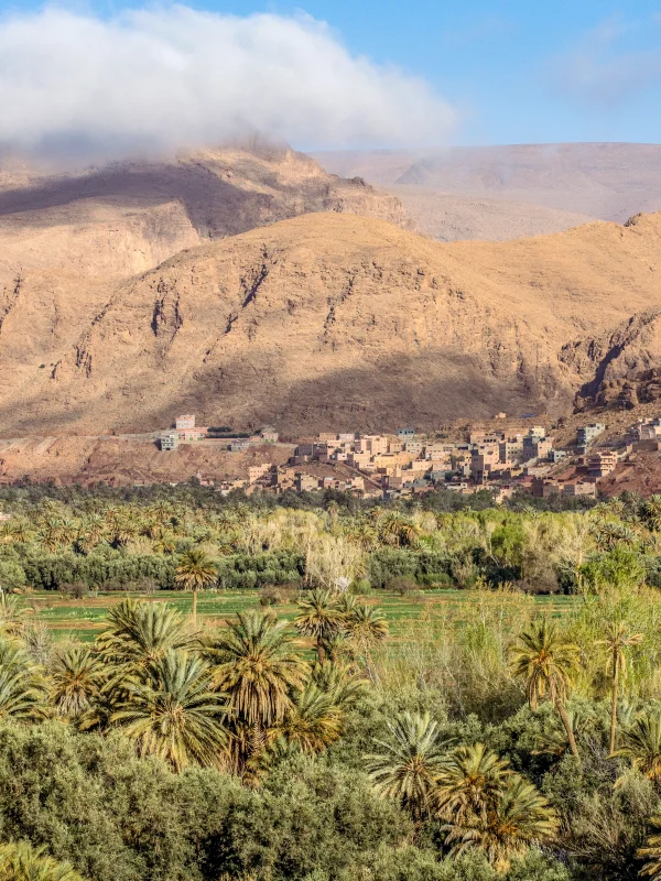 15-Day Morocco Tour from Casablanca