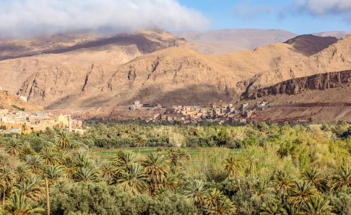 15-Day Morocco Tour from Casablanca