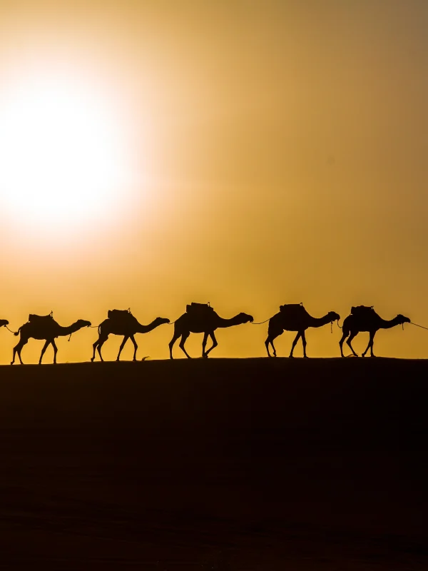 5-Day Morocco Tour from Casablanca